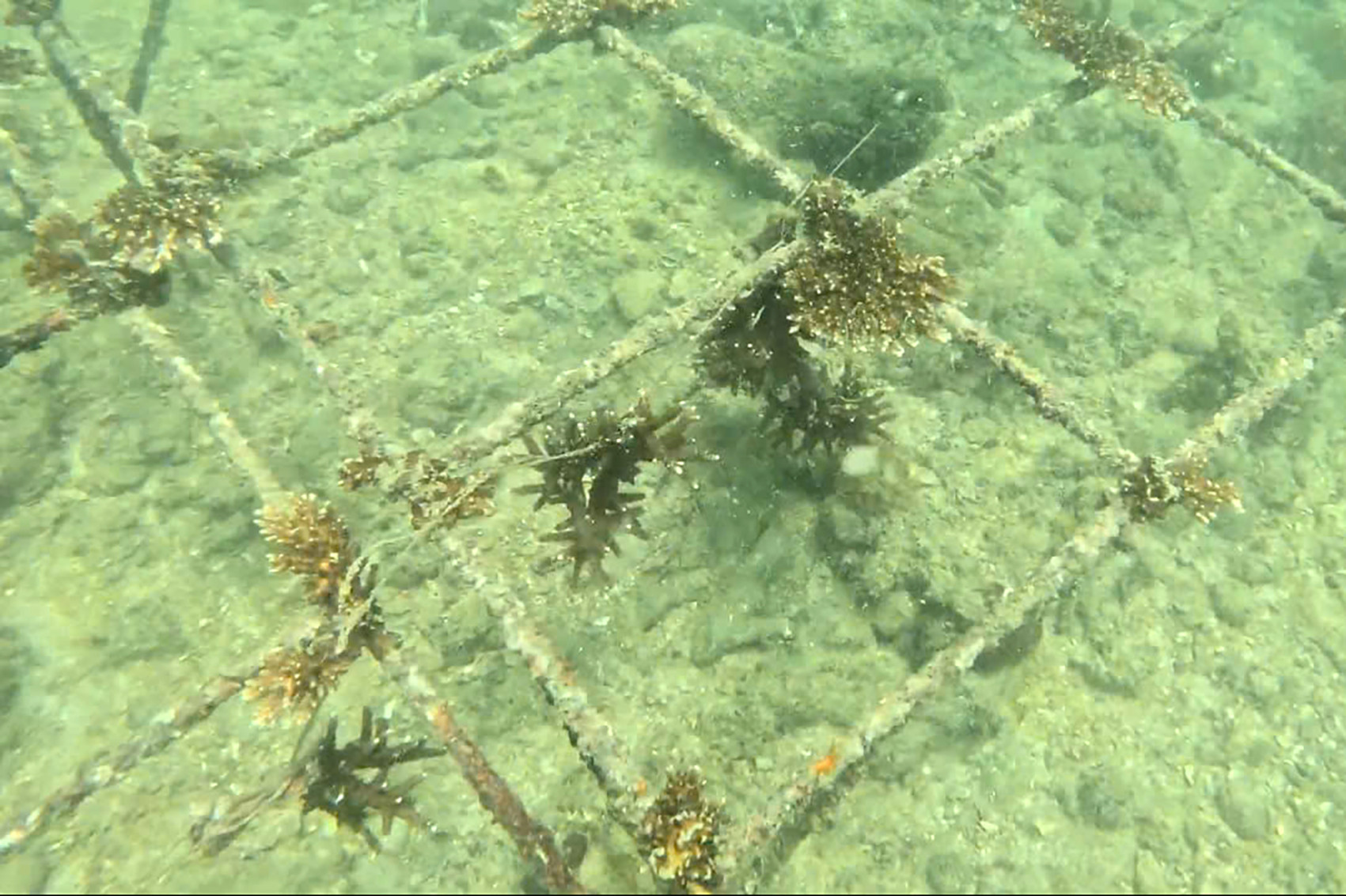 ac558af9 9cf1 4cb5 8d68 aaf952c3cc23.jpeg