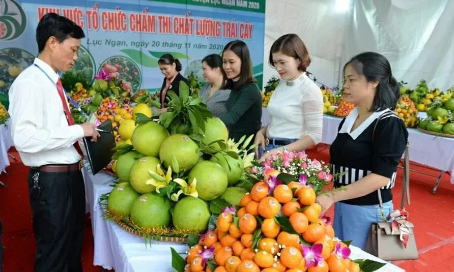 Bac Ninh fruit festival to take place in December