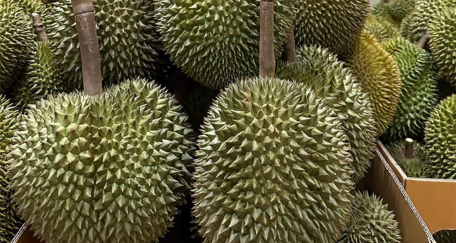 Vietnam earns billions from durian exports, but still imports high volumes
