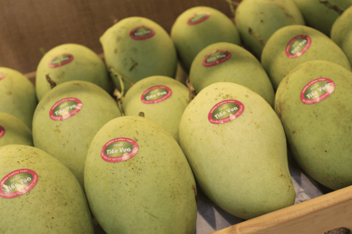 Vietnamese agricultural exports: from local fields to global tables