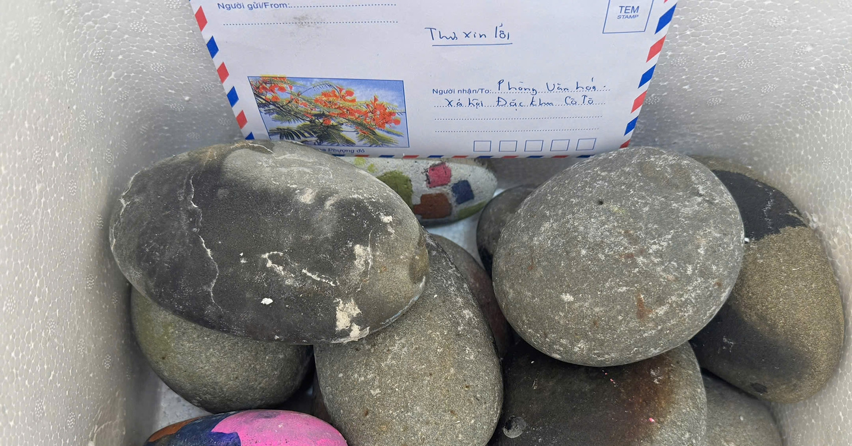 Inspired by youth coral project, tourist sends back Co To stones with apology