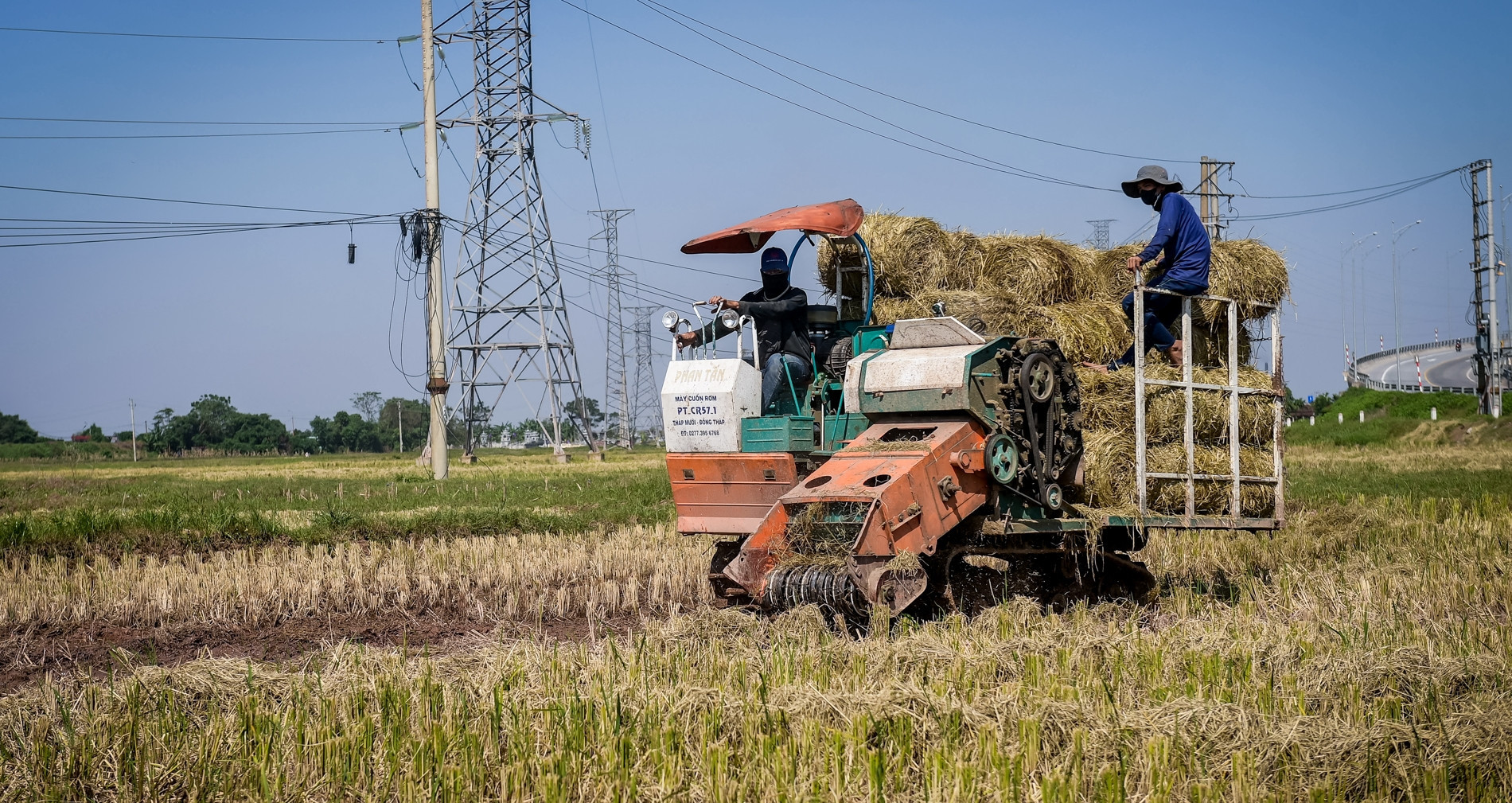 Turning straw into gold: Ninh Binh farmers earn thousands each harvest