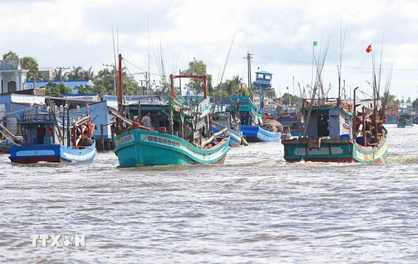 Vietnam approves plan to implement amended WTO Agreement on Fisheries Subsidies