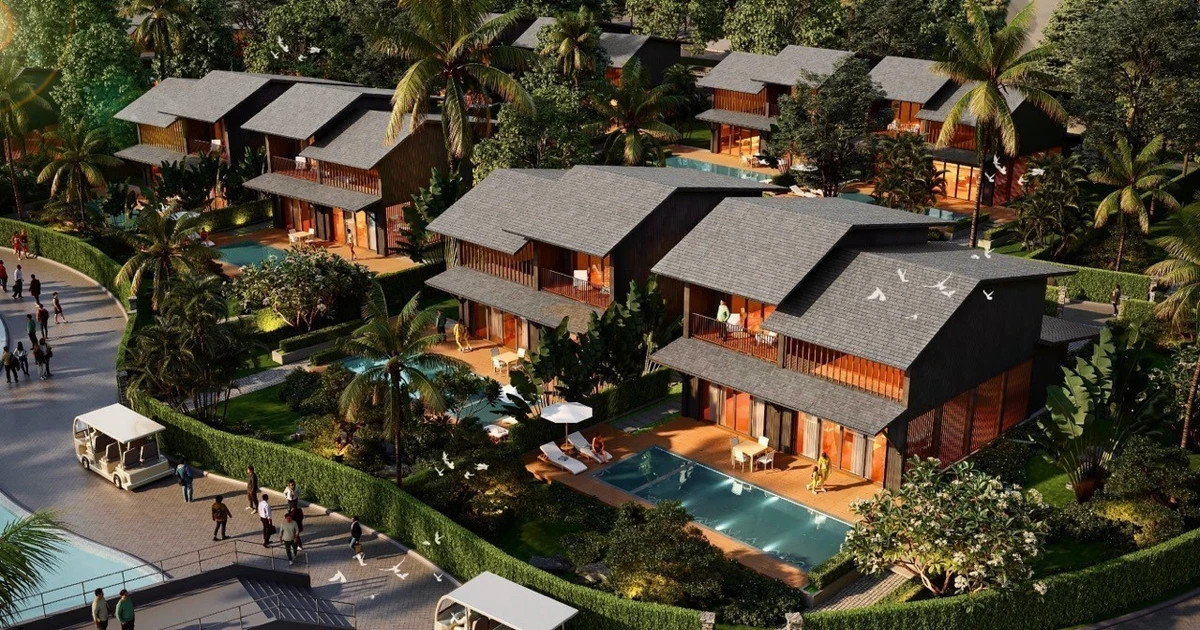 Japan’s Mikazuki Group continues to expand investment in Da Nang