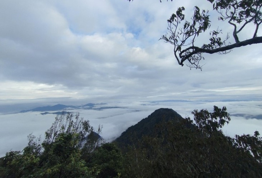 a5Khám phá gần 2km đường rừng.jpg