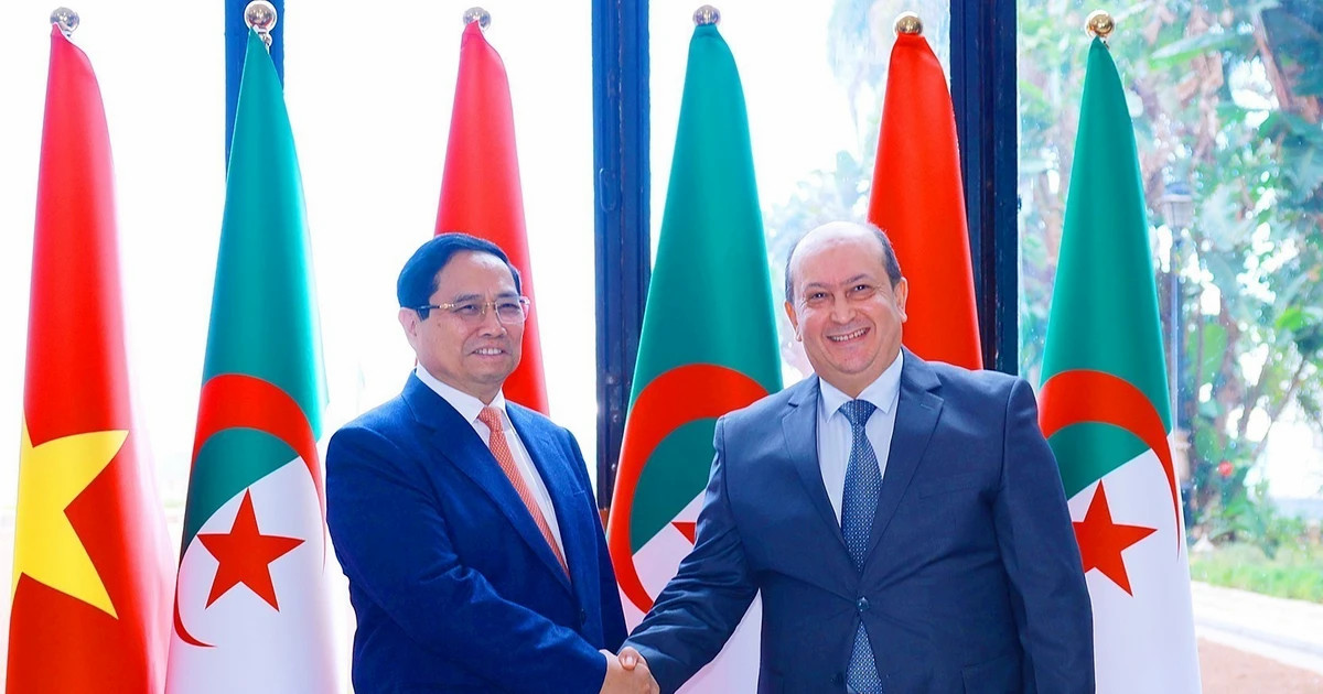 Vietnam – Algeria joint statement on establishing strategic partnership