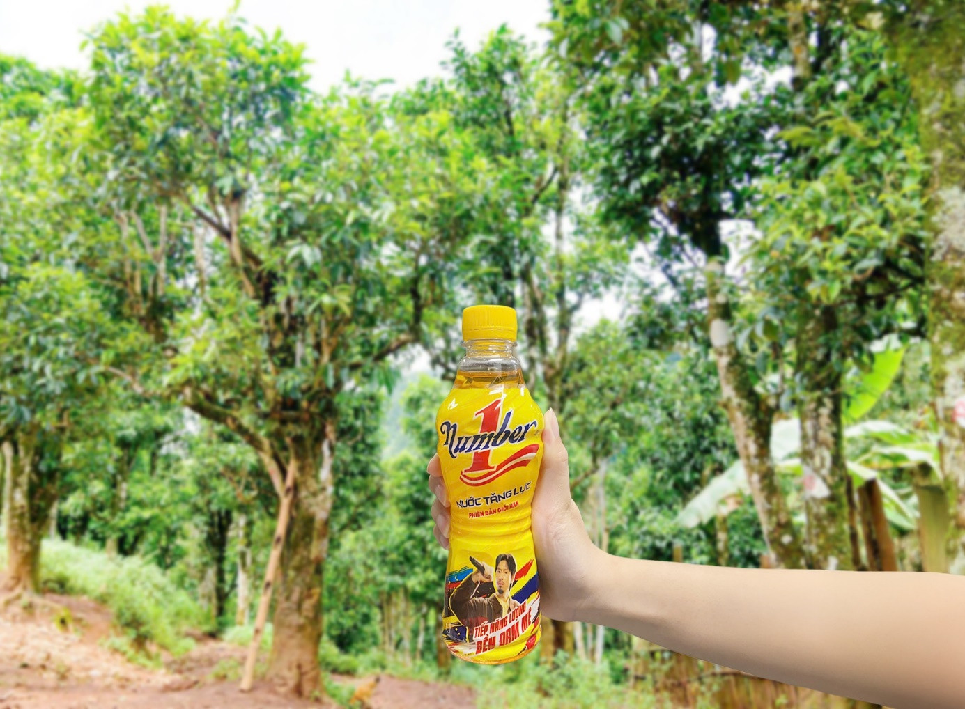 The Tua Chua girl igniting a dream for Vietnamese Shan Tuyet tea