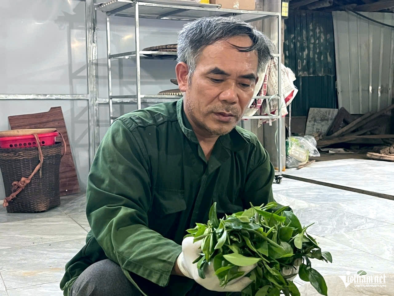 Tea brings new life to the once-barren hills of Thanh Hoa Tea brings new life to the once-barren hills of Thanh Hoa