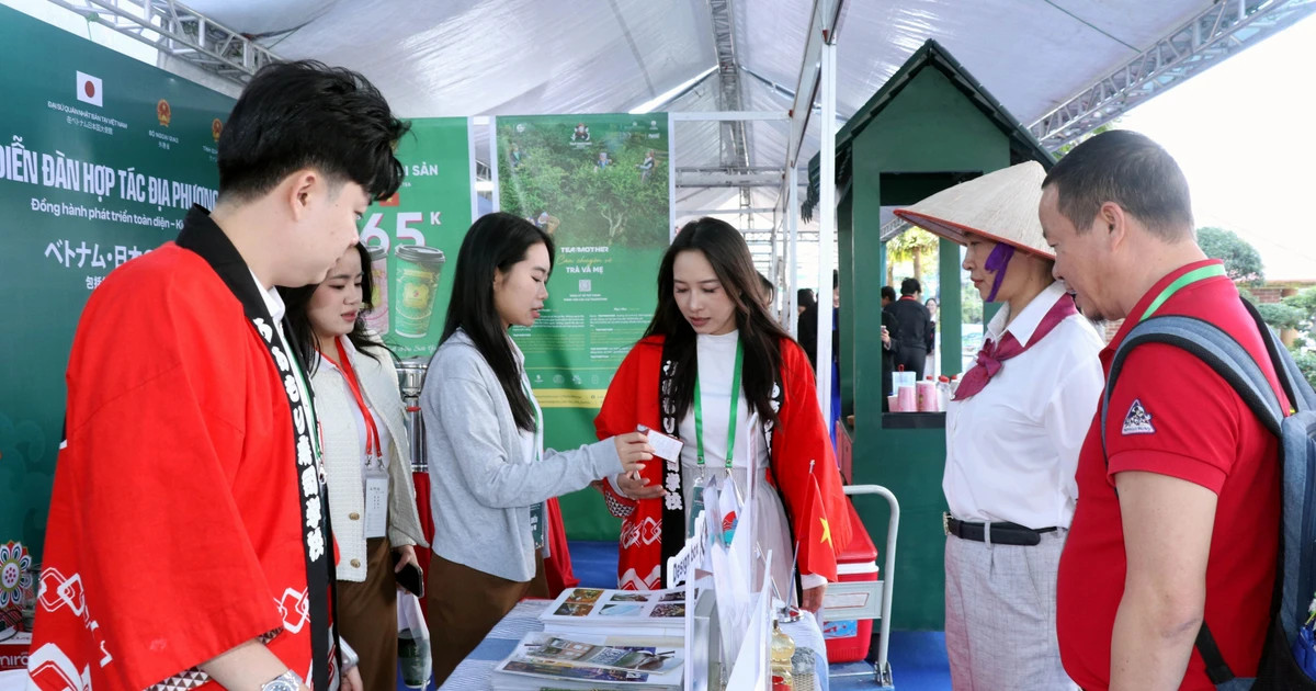 VN–Japan exhibition fosters cultural exchange, strengthens local cooperation