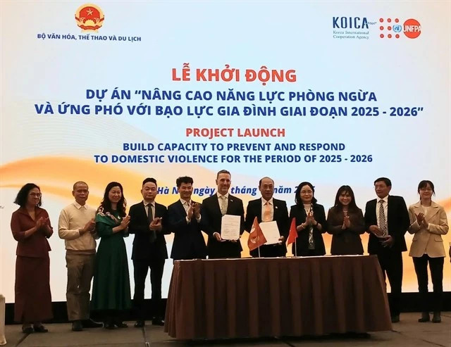 Project to strengthen Vietnam's capacity to prevent domestic-violence launched