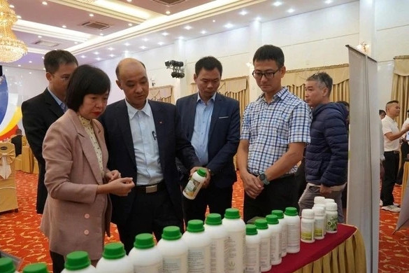 Da Nang enters global Top 1,000 startup ecosystems for first time