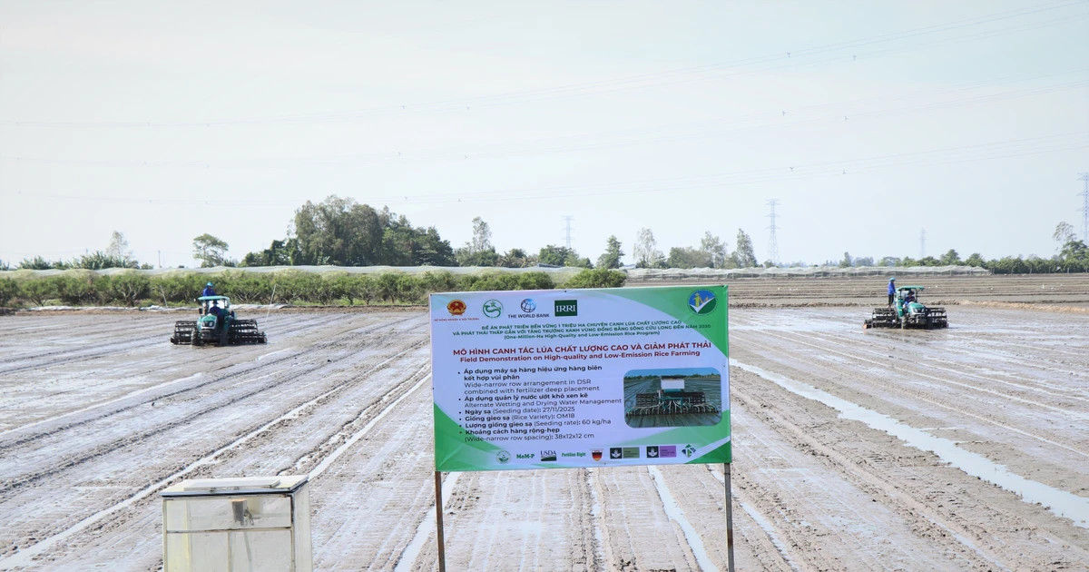 Vietnam seeks World Bank green credit to boost low-emission rice production