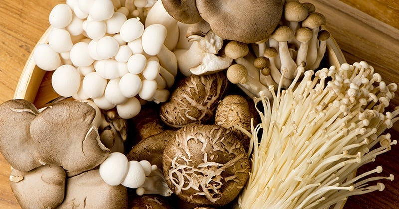 Eating mushrooms daily may help lower blood pressure and cholesterol