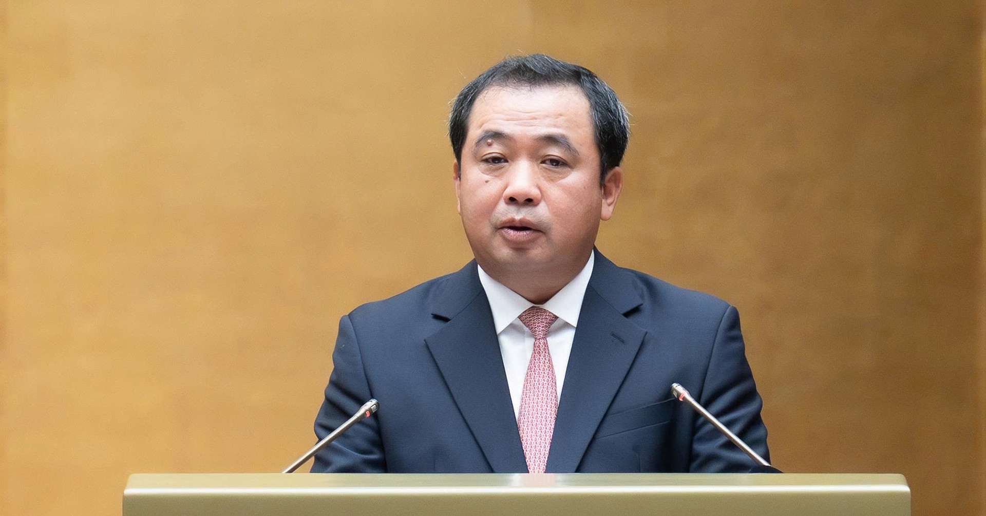 Vietnam proposes rare earths as a special strategic resource