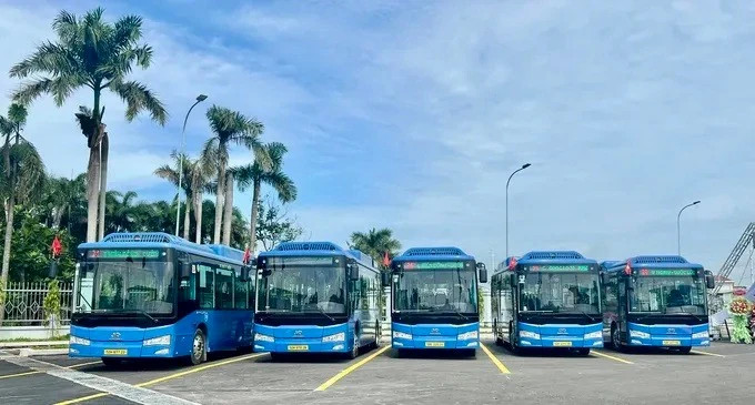 First electric bus route to be launched in Con Dao in December