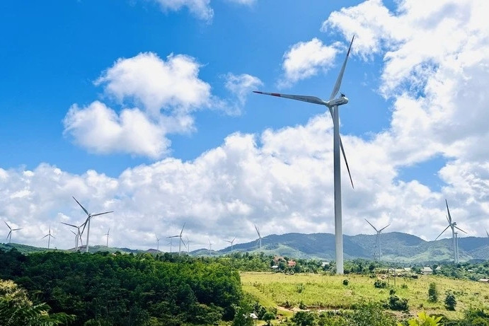 State steering committee for key energy programmes, projects set up