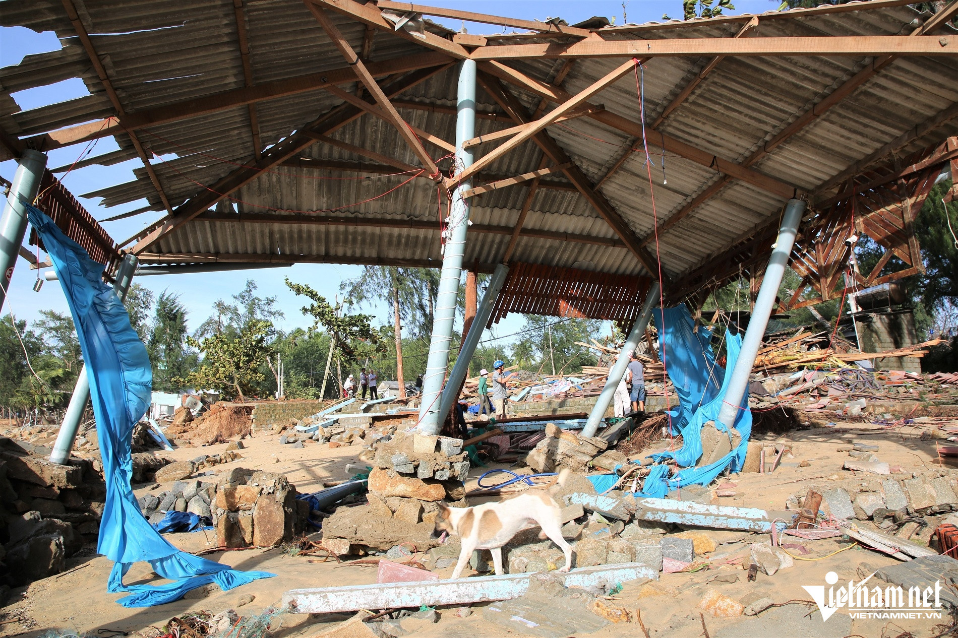 floods in vietnam5.jpg