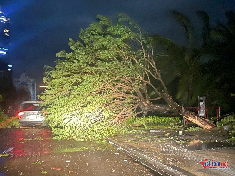 W-Tan hoang sau bão 3.jpg