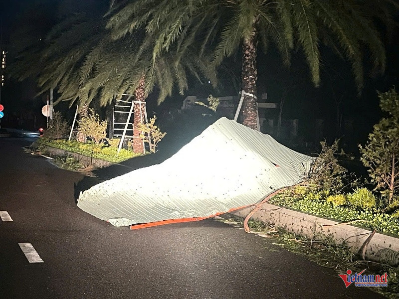 W-Tan hoang sau bão 11.jpg