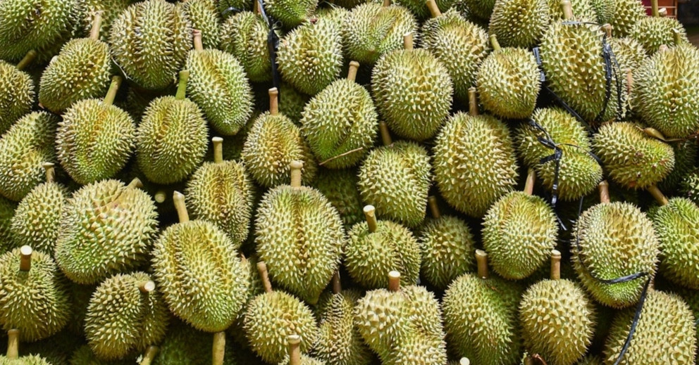 17 indicted over durian export scandal after years of urgent warnings
