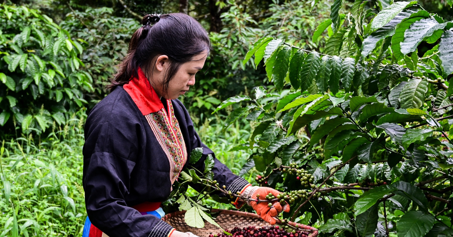 Vietnam exports agricultural goods to 190 countries worldwide