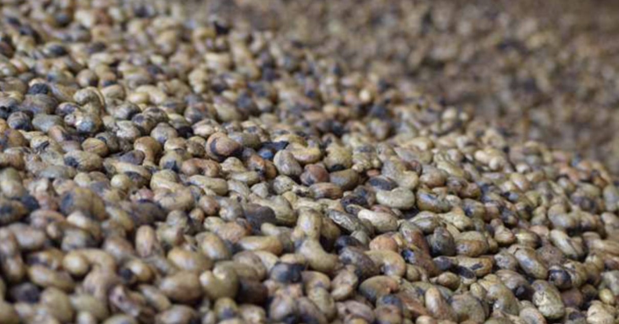 $4bil. spent as Vietnam ramps up cashew imports, mostly from Cambodia