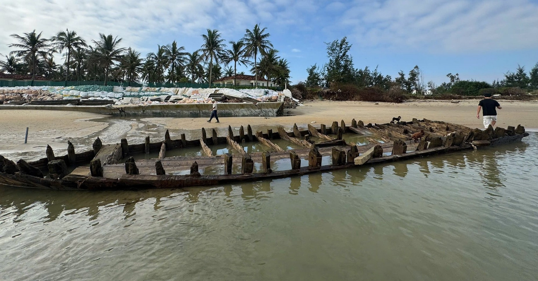 A centuries-old shipwreck resurfaces off Hoi An coast after typhoon