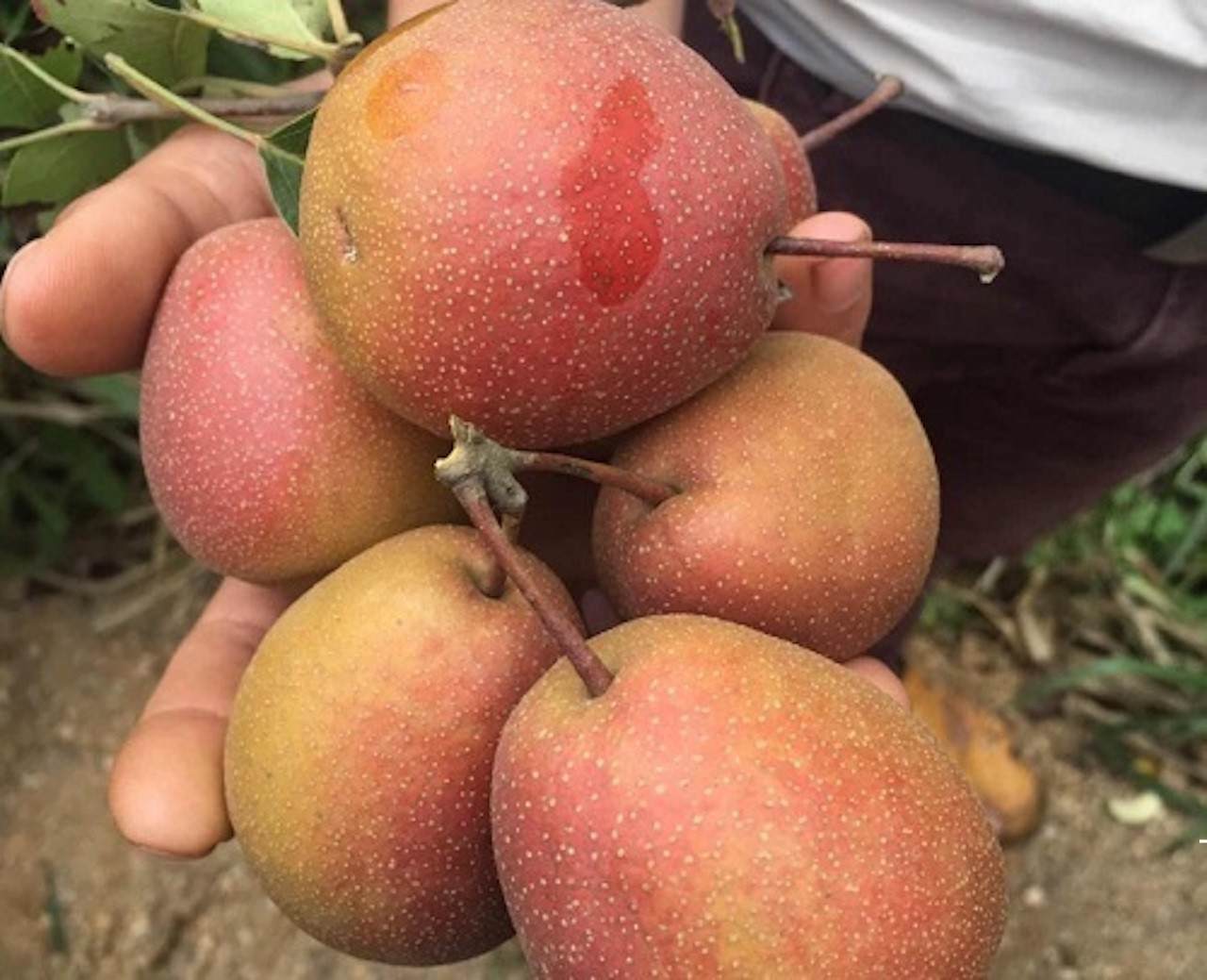 20161006102942 l1.jpg