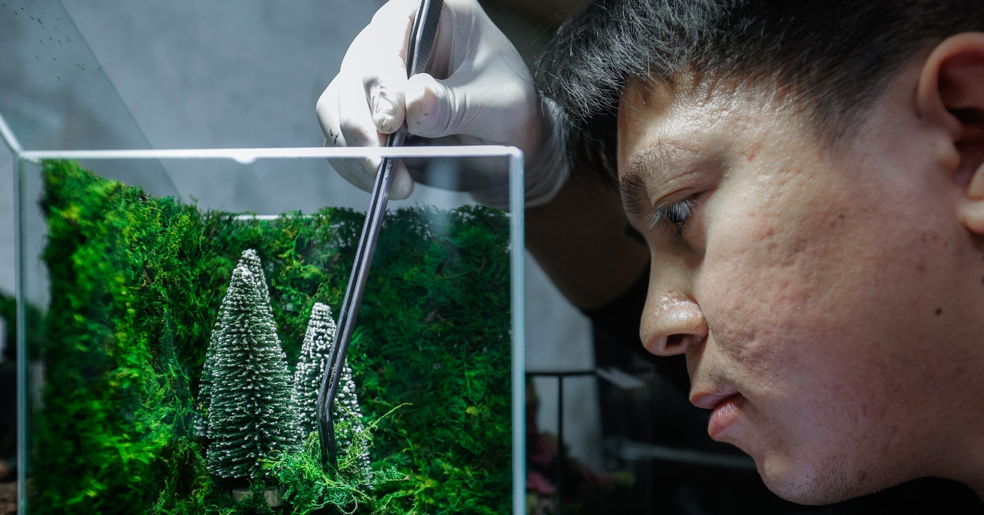 Startup turns Christmas terrariums into million-dollar gifts