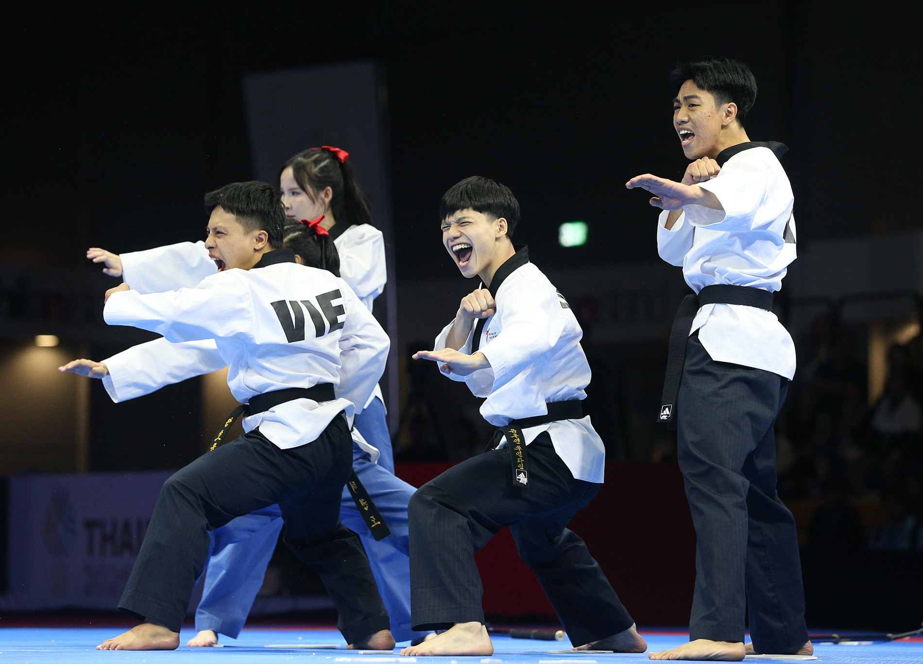 taekwondo viet nam1.jpg