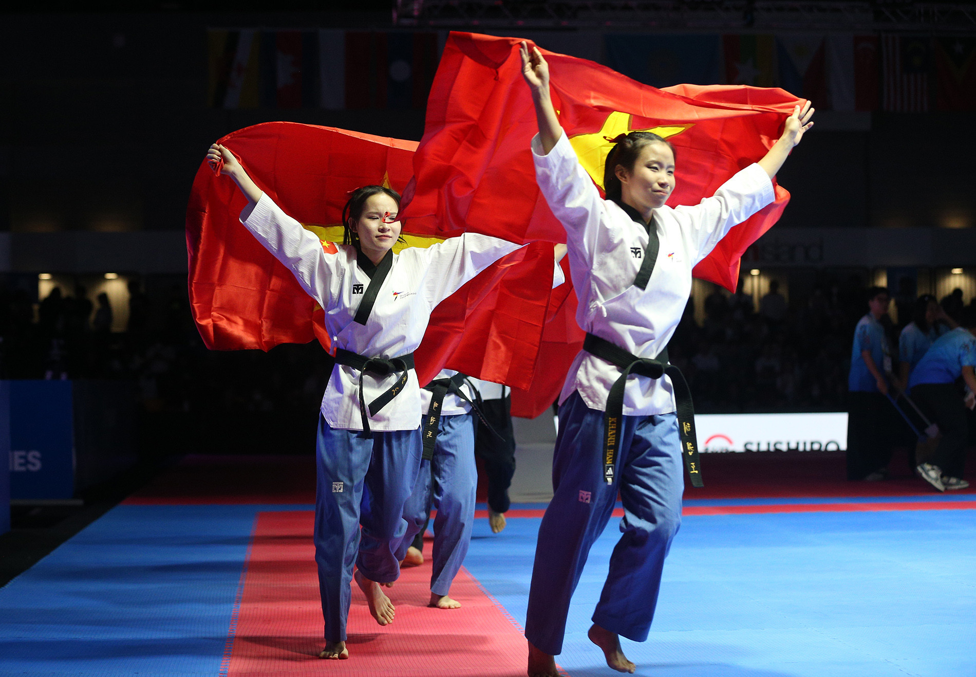 taekwondo viet nam12.jpg
