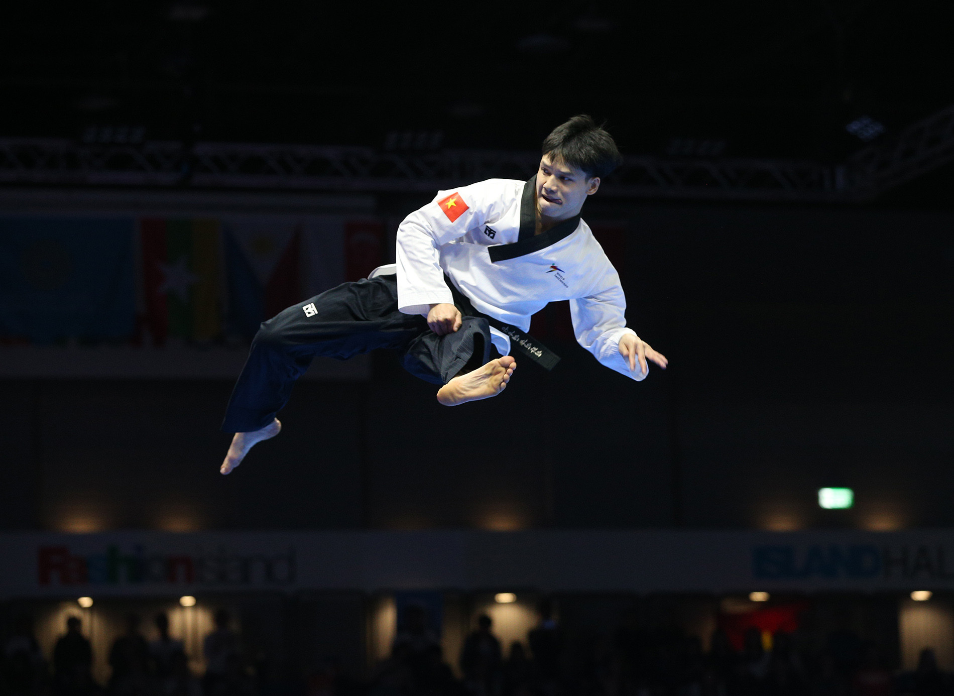 taekwondo viet nam3.jpg