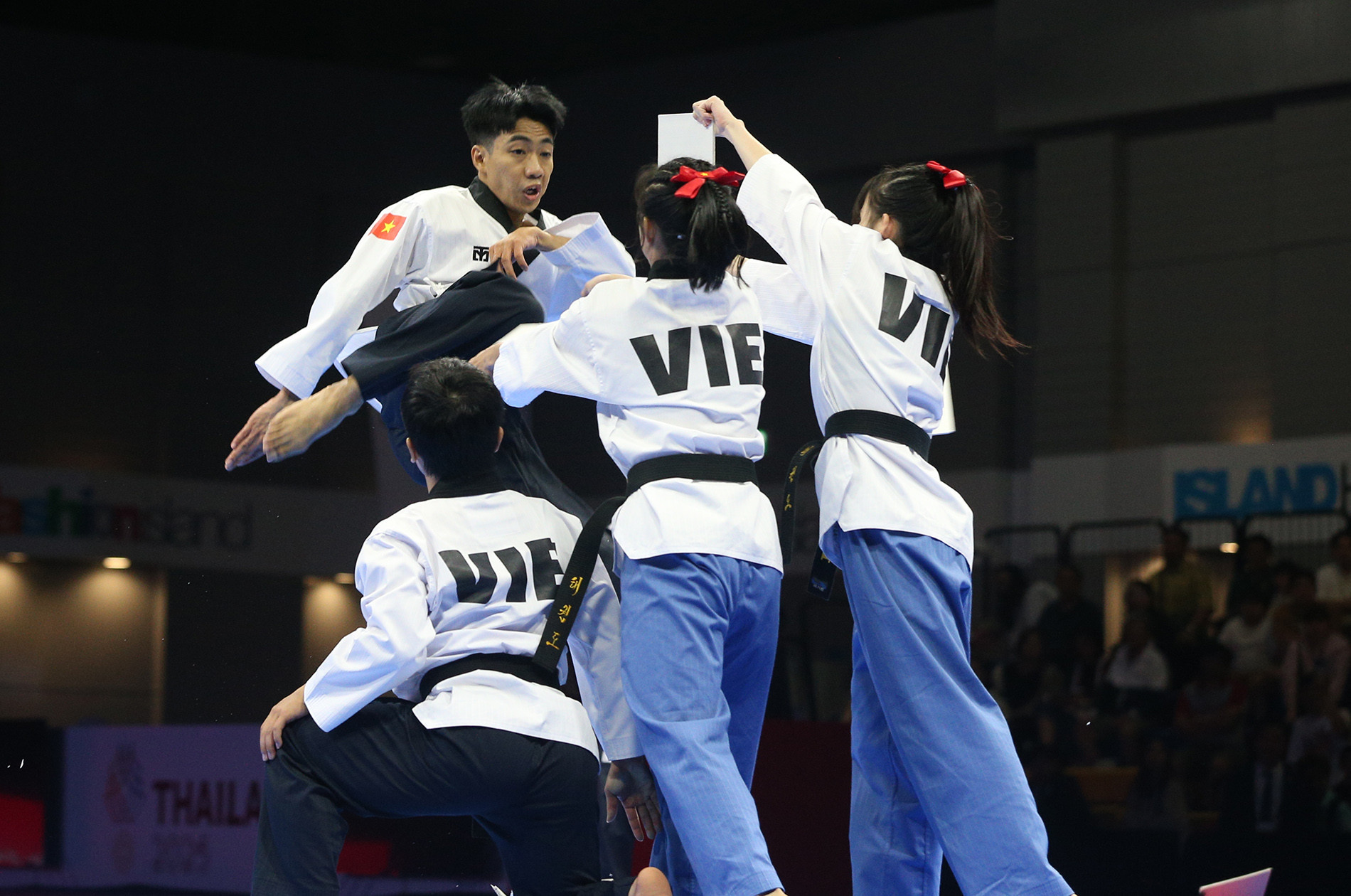 taekwondo viet nam4.jpg