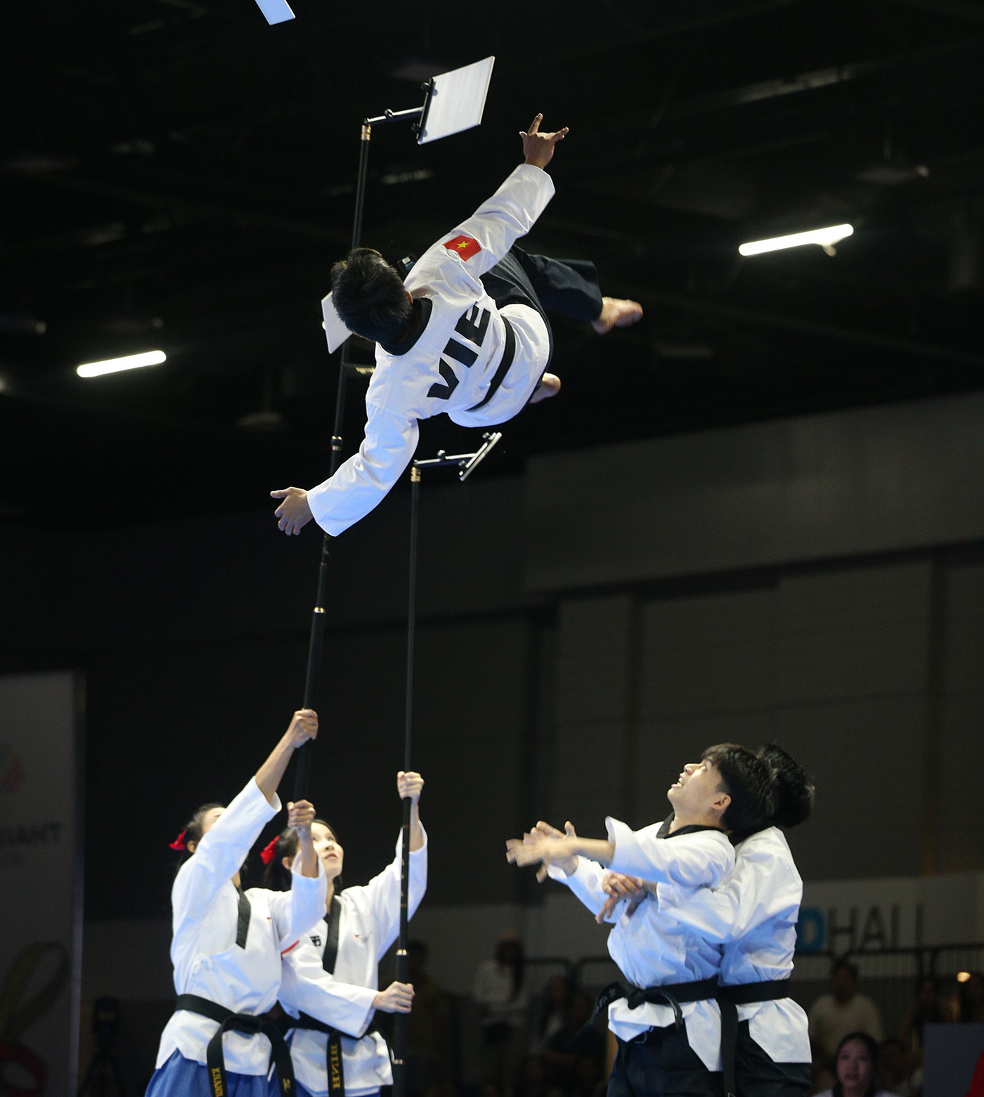 taekwondo viet nam6.jpg