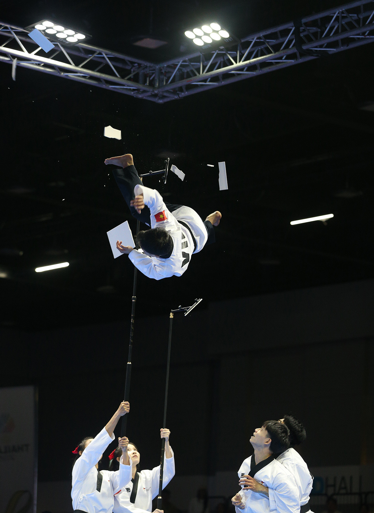 taekwondo viet nam7.jpg