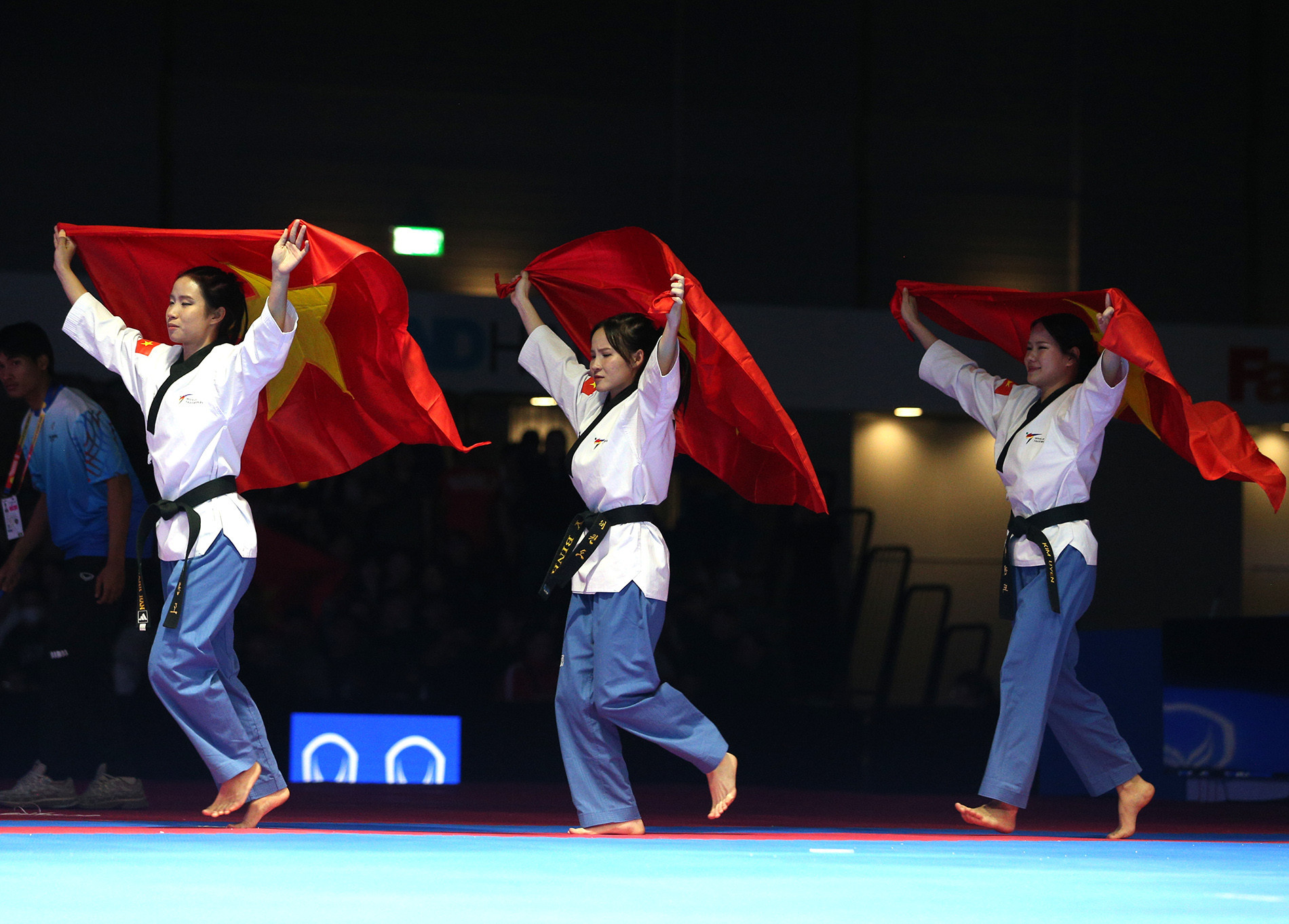 taekwondo viet nam9.jpg