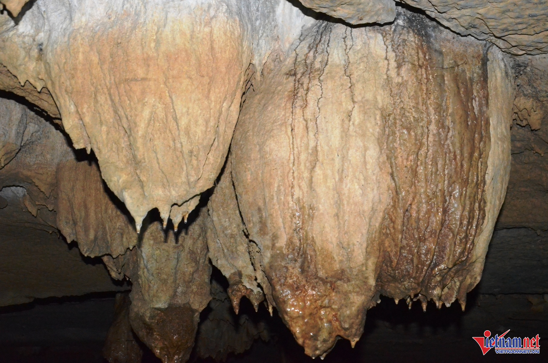 W-Hang Bụt 3.JPG.jpg