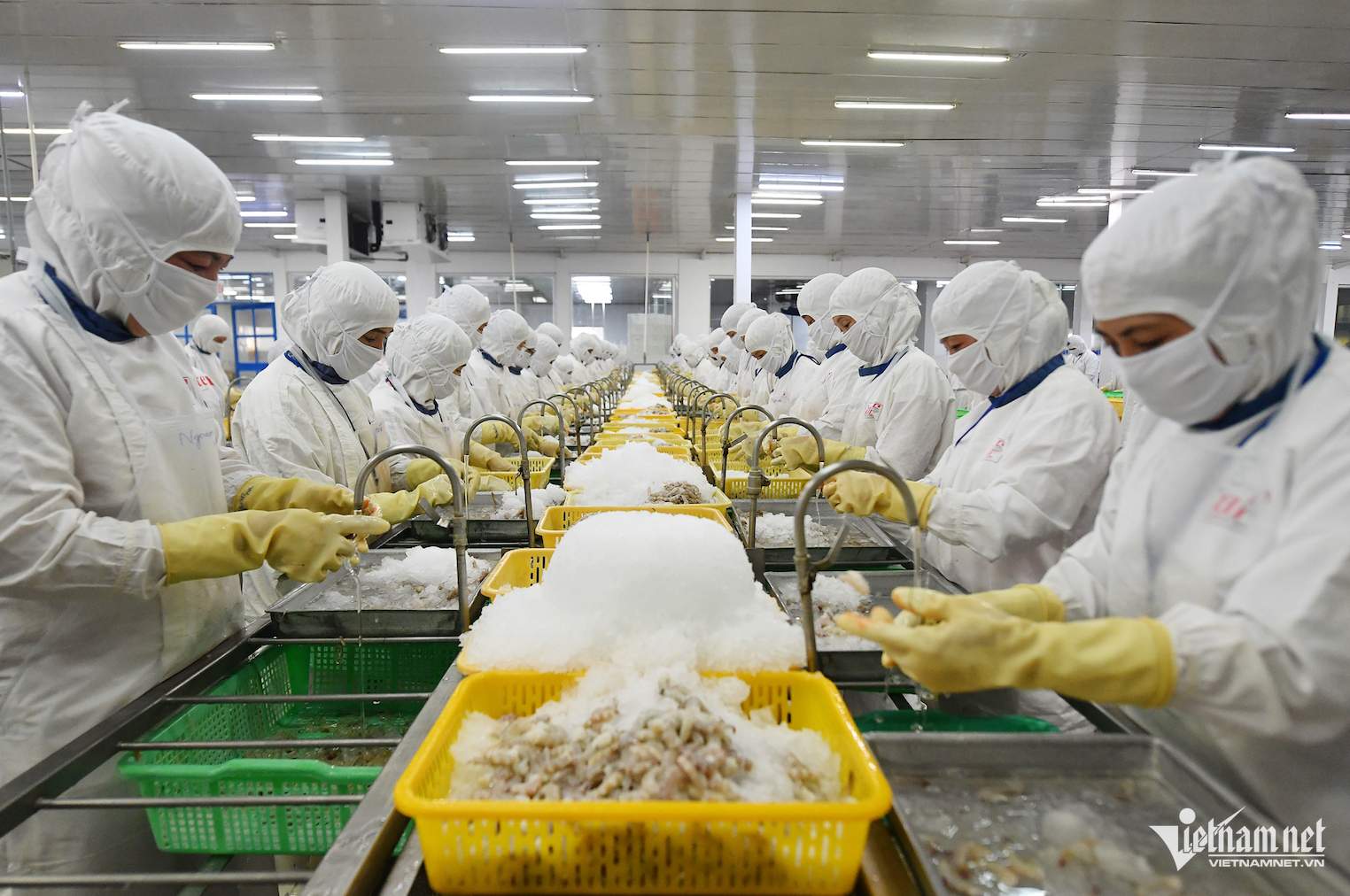 Public-private partnerships in agriculture under scrutiny for underperformance