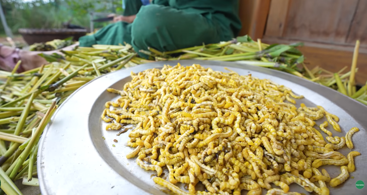 The unusual worm delicacy in Dien Bien that foodies love