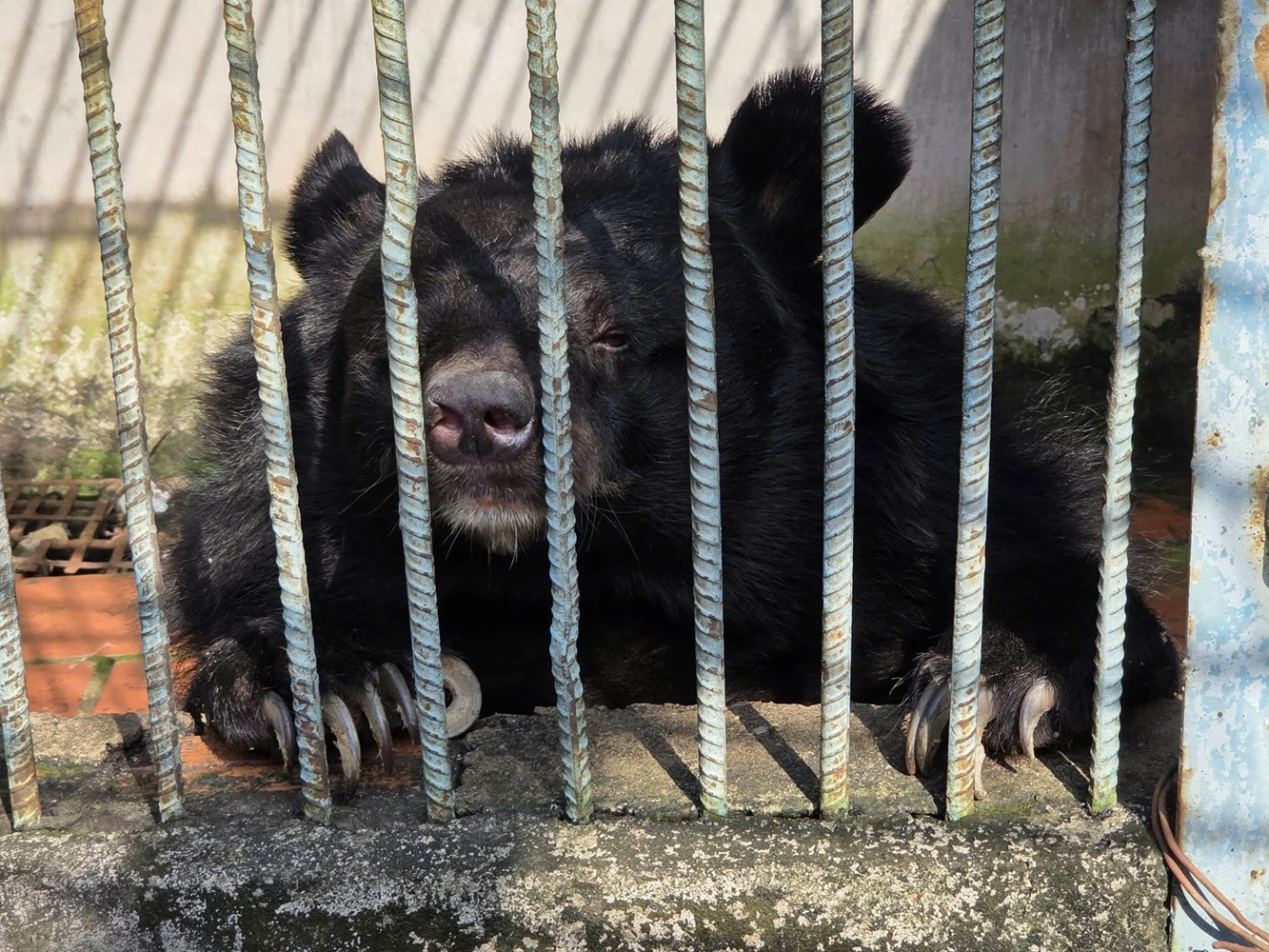 05925426 6b86 452d 8970 9b4f360c90db.jpg