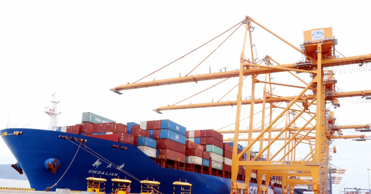 Hai Phong Port reaches 2-million-TEU milestone