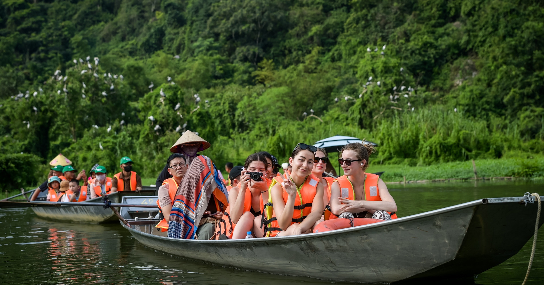 Ninh Binh’s bird sanctuary stuns visitors with sunset flight of thousands