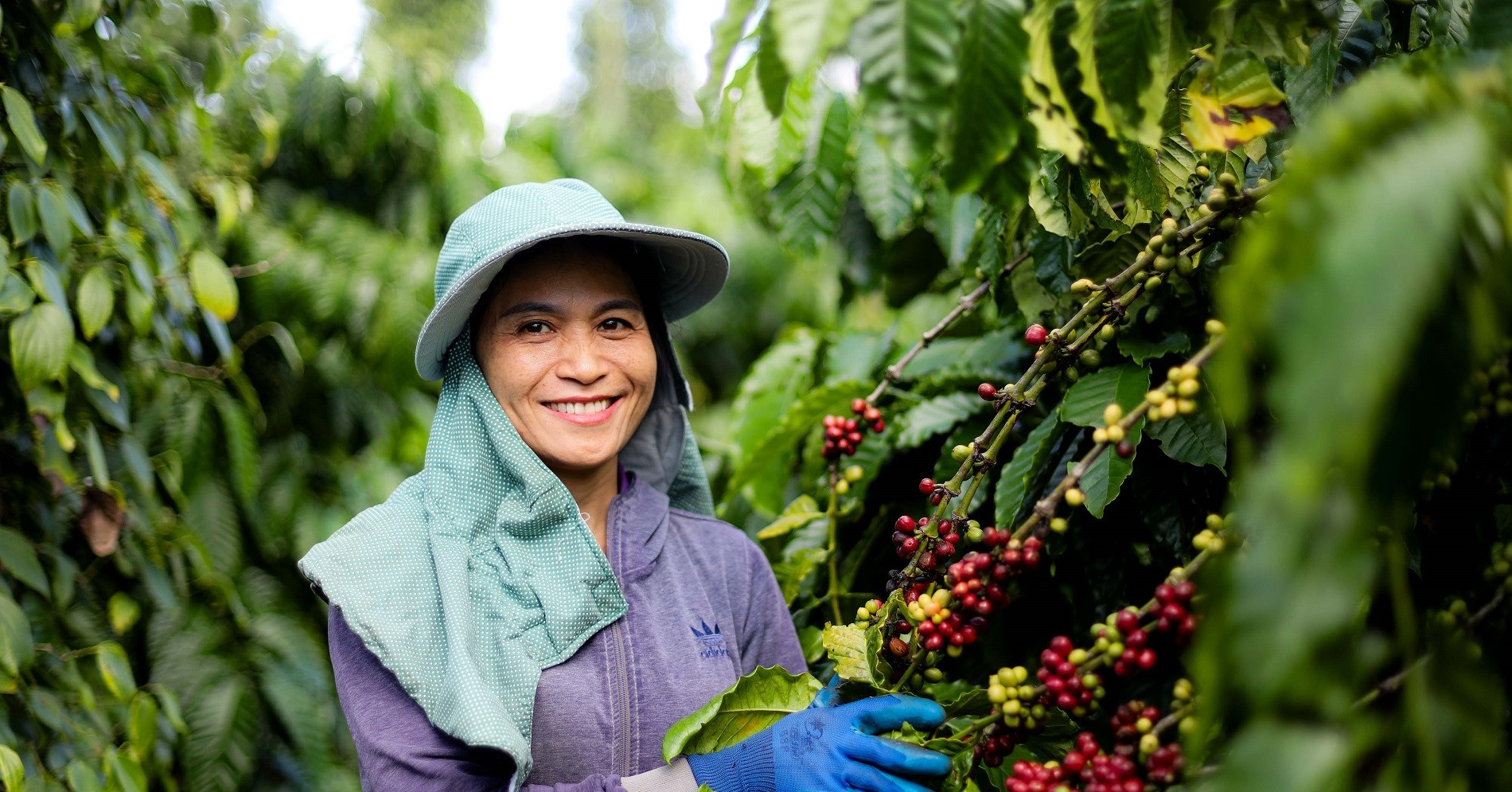 Circular economy powers Vietnam’s green growth ambitions