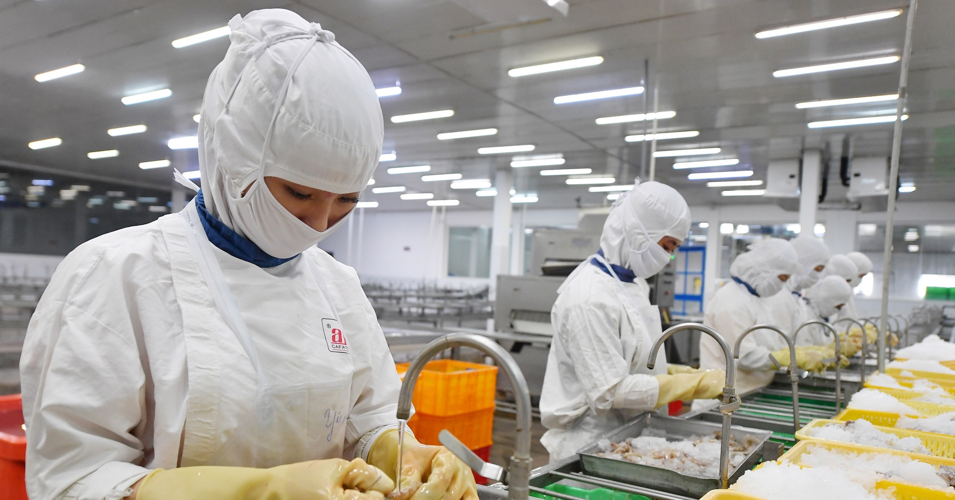 Vietnam's record exports and the hidden fragility of its economy