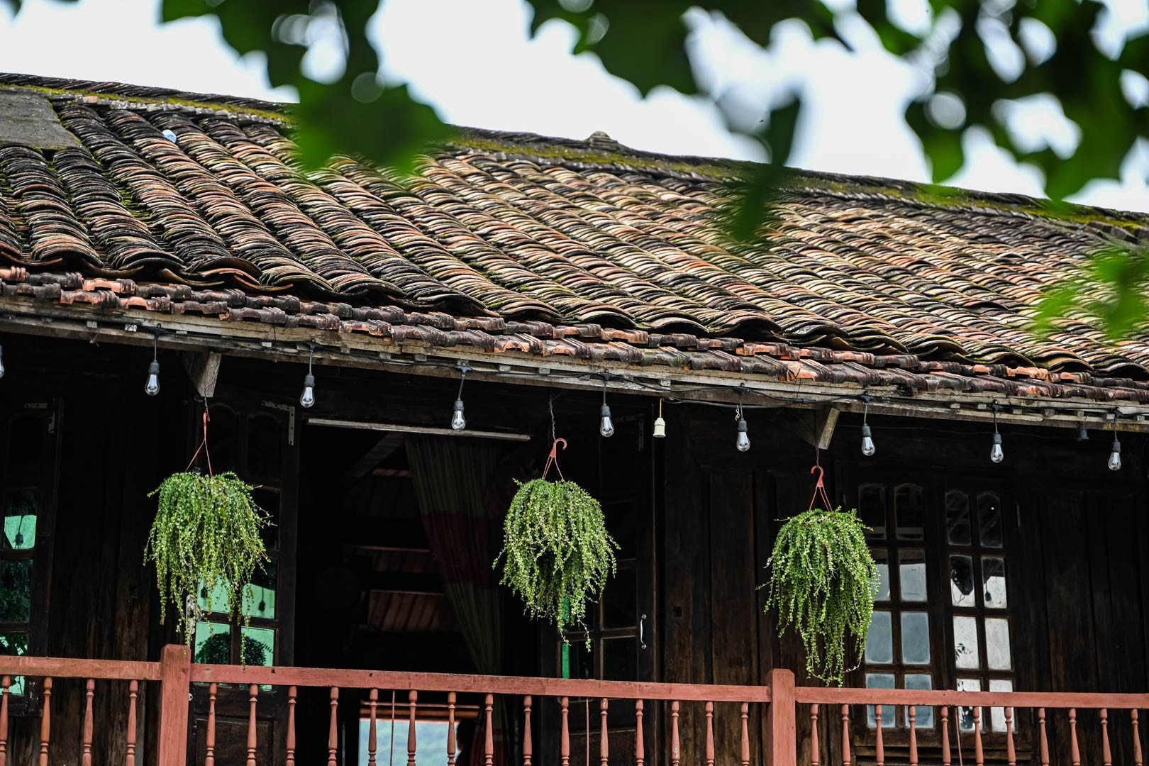Couple in their late 70s turn century-old stilt house into family-style homestay