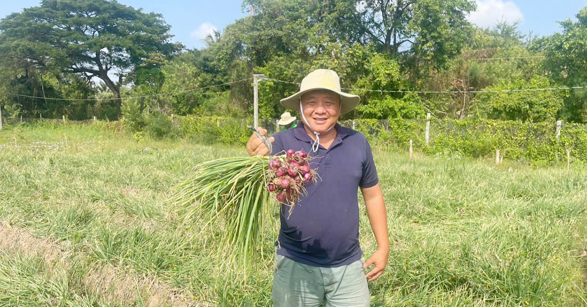 Giving up city life, he bets everything on purple onions and white radishes