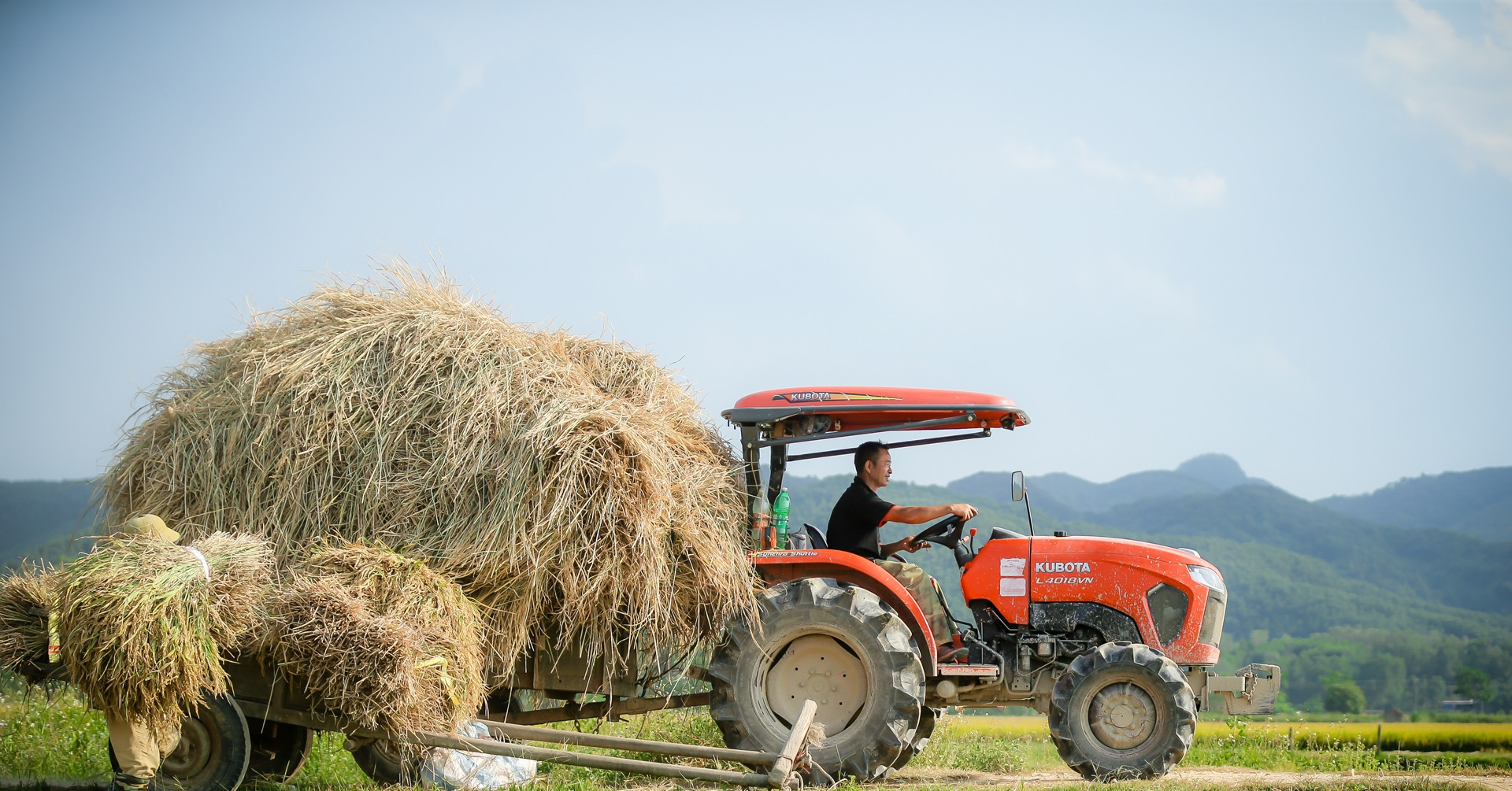 Vietnam aims for global leadership in agriculture by 2030
