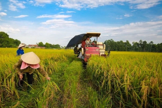 ADB, BIDV support Vietnam’s green agriculture with $250m financing package
