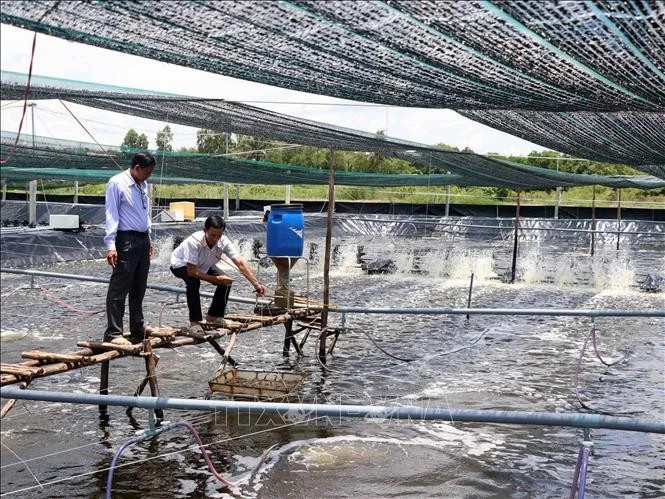 Fisheries take the lead in the Mekong Delta’s green transition