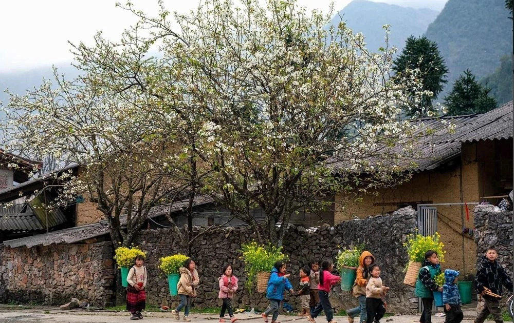 Rural, ethnic programs to receive $16 bln boost